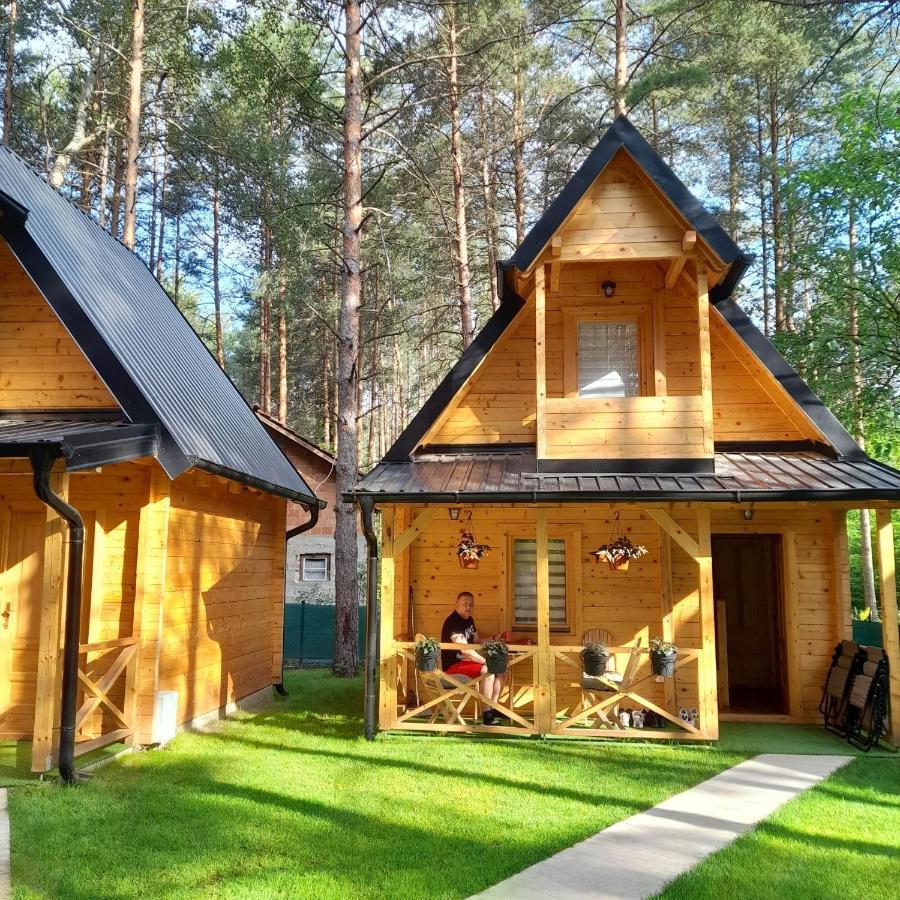 Brvnare Borove Iglice Apartment Vinci
